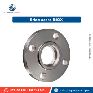 Brida en acero INOX