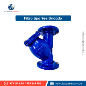 Filtro tipo Yee bridado