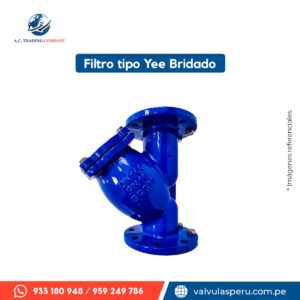 Filtro tipo Yee bridado