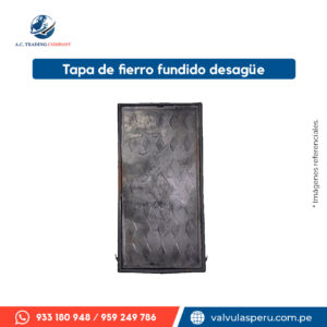 Tapa de fierro fundido DS