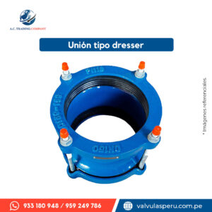 Unión tipo dresser