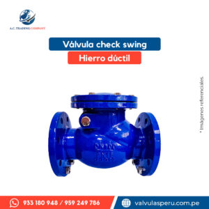 Válvula check swing