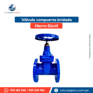 Válvula compuerta bridada